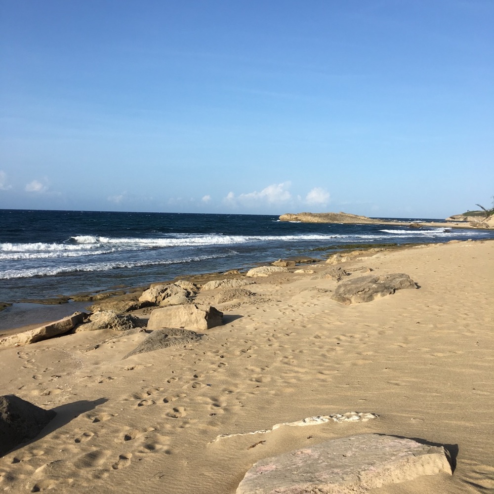 Meet your Posher, Mia